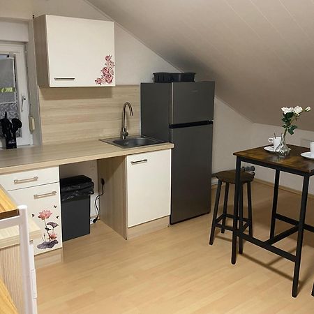 Deluxe Business Suite Mit Netflix Premium & Parkplatz, Zentral Zu Audi & Schwarz Gruppe With 2 Bedrooms Bad Friedrichshall Exterior foto